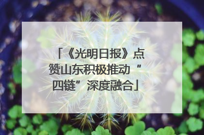 《光明日报》点赞山东积极推动“四链”深度融合