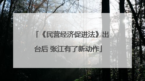 《民营经济促进法》出台后 张江有了新动作