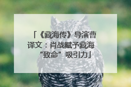 《藏海传》导演曹译文：肖战赋予藏海“致命”吸引力