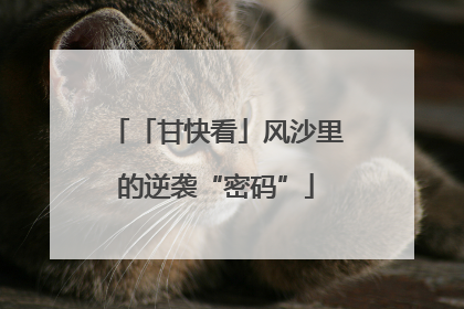 「甘快看」风沙里的逆袭“密码”
