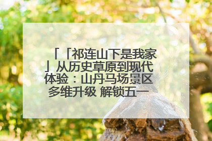 「祁连山下是我家」从历史草原到现代体验：山丹马场景区多维升级 解锁五一文旅新玩法