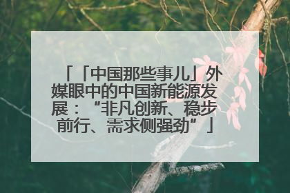 「中国那些事儿」外媒眼中的中国新能源发展：“非凡创新、稳步前行、需求侧强劲”