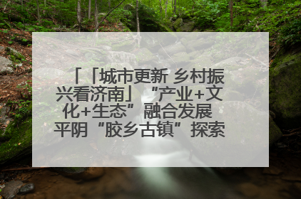 「城市更新 乡村振兴看济南」“产业+文化+生态”融合发展 平阴“胶乡古镇”探索振兴路径成效显著