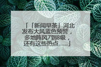 「新闻早茶」河北发布大风蓝色预警，多地阵风7到8级，还有这些热点……
