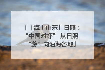「海上山东」日照：“中国对虾” 从日照“游”向沿海各地