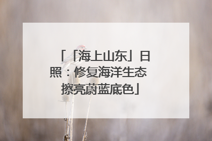 「海上山东」日照：修复海洋生态 擦亮蔚蓝底色