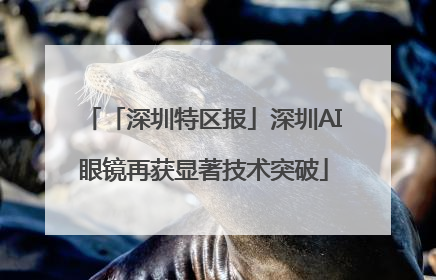 「深圳特区报」深圳AI眼镜再获显著技术突破