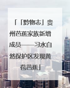 「黔物志」贵州芭蕉家族新增成员——习水自然保护区发现黄苞芭蕉