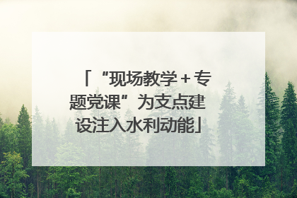 “现场教学＋专题党课”为支点建设注入水利动能