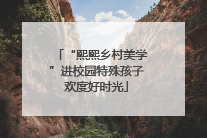 “熙熙乡村美学”进校园特殊孩子欢度好时光