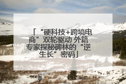 “硬科技+跨境电商”双轮驱动 外籍专家探秘碑林的“逆生长”密码