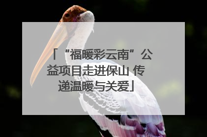 “福暖彩云南”公益项目走进保山 传递温暖与关爱