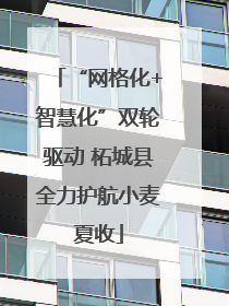 “网格化+智慧化”双轮驱动 柘城县全力护航小麦夏收
