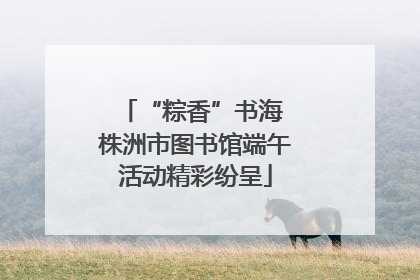 “粽香”书海 株洲市图书馆端午活动精彩纷呈