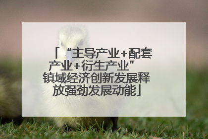 “主导产业+配套产业+衍生产业” 镇域经济创新发展释放强劲发展动能