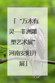 “万木有灵—非洲雕塑艺术展”河南安阳开展