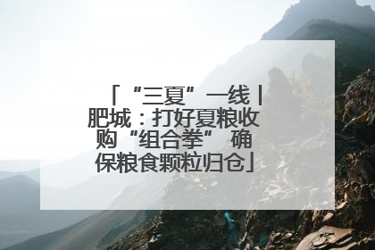 “三夏”一线丨肥城：打好夏粮收购“组合拳” 确保粮食颗粒归仓