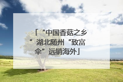 “中国香菇之乡”湖北随州“致富伞”远销海外