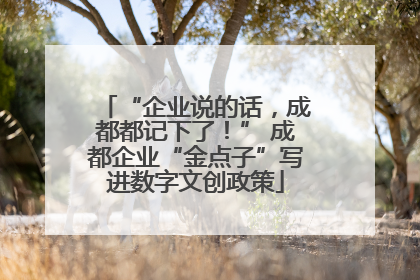“企业说的话，成都都记下了！” 成都企业“金点子”写进数字文创政策