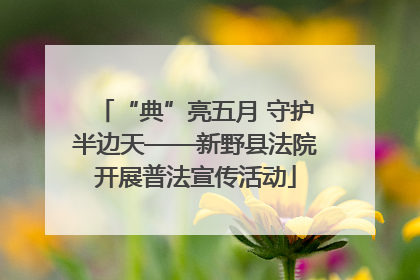 “典”亮五月 守护半边天——新野县法院开展普法宣传活动