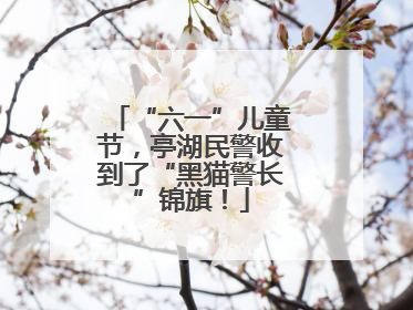 “六一”儿童节，亭湖民警收到了“黑猫警长”锦旗！