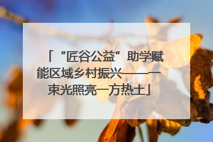 “匠谷公益”助学赋能区域乡村振兴——一束光照亮一方热土