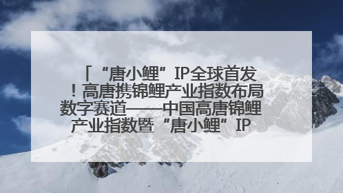 “唐小鲤”IP全球首发！高唐携锦鲤产业指数布局数字赛道——中国高唐锦鲤产业指数暨“唐小鲤”IP全球首发仪式在杭州举行