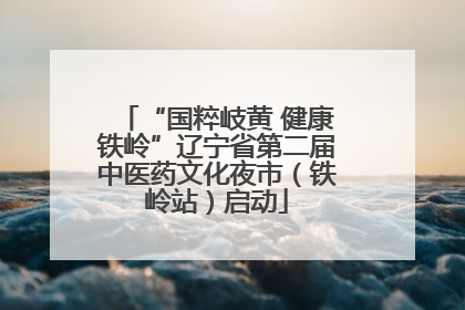 “国粹岐黄 健康铁岭”辽宁省第二届中医药文化夜市（铁岭站）启动