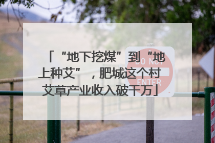 “地下挖煤”到“地上种艾”，肥城这个村艾草产业收入破千万
