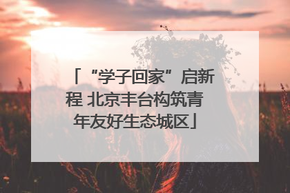 “学子回家”启新程 北京丰台构筑青年友好生态城区