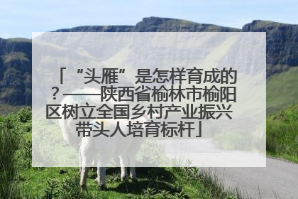“头雁”是怎样育成的？——陕西省榆林市榆阳区树立全国乡村产业振兴带头人培育标杆