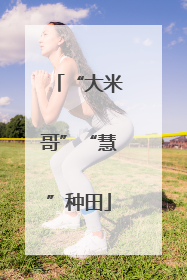 “大米哥”“慧”种田