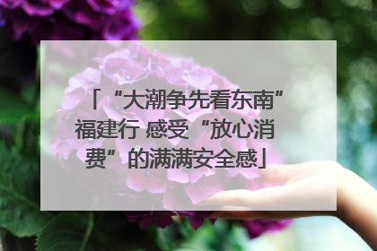 “大潮争先看东南”福建行 感受“放心消费”的满满安全感