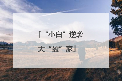 “小白”逆袭大“盈”家
