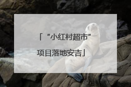 “小红村超市”项目落地安吉
