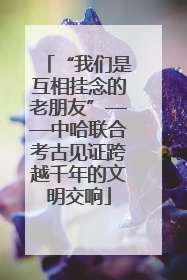 “我们是互相挂念的老朋友”——中哈联合考古见证跨越千年的文明交响