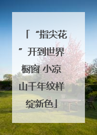 “指尖花”开到世界橱窗 小凉山千年纹样绽新色