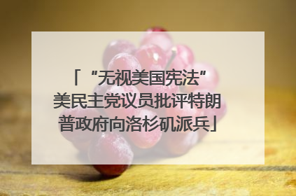 “无视美国宪法” 美民主党议员批评特朗普政府向洛杉矶派兵