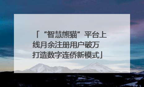 “智慧熊猫”平台上线月余注册用户破万 打造数字连侨新模式