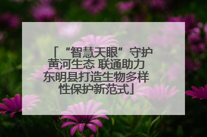 “智慧天眼”守护黄河生态 联通助力东明县打造生物多样性保护新范式
