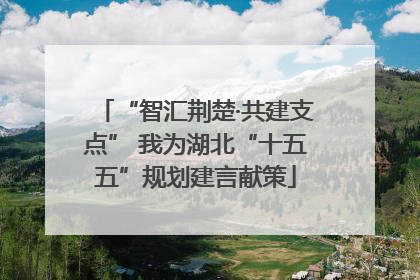 “智汇荆楚·共建支点” 我为湖北“十五五”规划建言献策