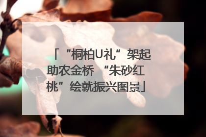 “桐柏U礼”架起助农金桥 “朱砂红桃”绘就振兴图景