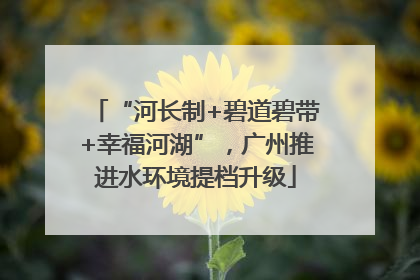 “河长制+碧道碧带+幸福河湖”，广州推进水环境提档升级