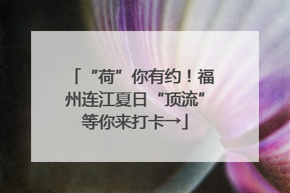 “荷”你有约！福州连江夏日“顶流”等你来打卡→