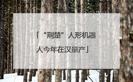 “荆楚”人形机器人今年在汉量产