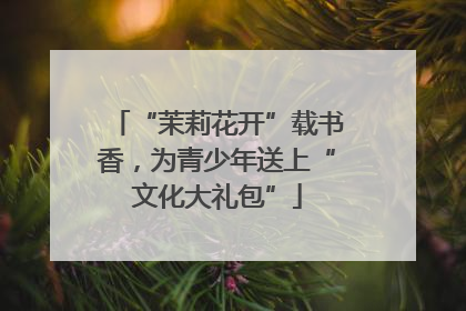 “茉莉花开”载书香，为青少年送上“文化大礼包”