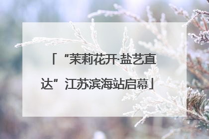 “茉莉花开·盐艺直达”江苏滨海站启幕