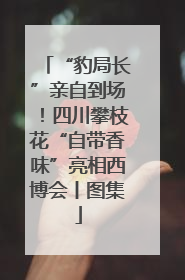 “豹局长”亲自到场！四川攀枝花“自带香味”亮相西博会丨图集