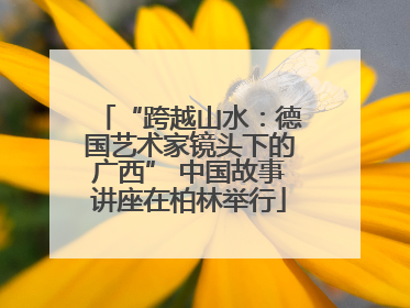 “跨越山水：德国艺术家镜头下的广西” 中国故事讲座在柏林举行