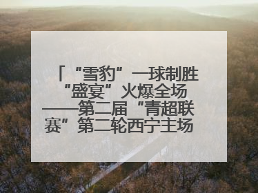 “雪豹”一球制胜 “盛宴”火爆全场——第二届“青超联赛”第二轮西宁主场比赛见闻